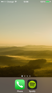 iPhone Actual Home Screen